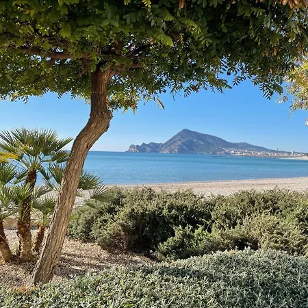 Casa Ariana, Casco Antiguo, Terrazas Con Vistas Al Mar Vakantiehuis